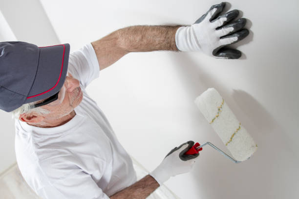 Best Airborne Mold Testing  in Morris, MN