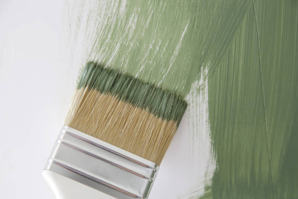 Best Mold Odor Removal Services  in Morris, MN