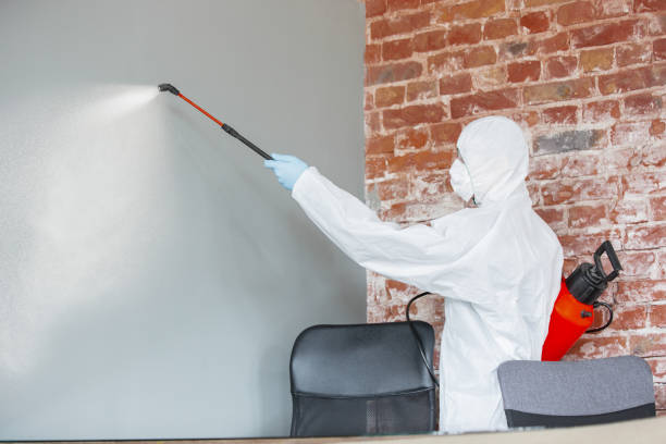 Best Industrial Mold Remediation  in Morris, MN