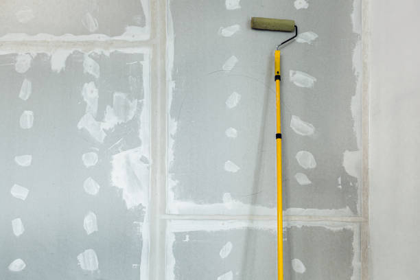 Best Water Damage & Mold Remediation  in Morris, MN