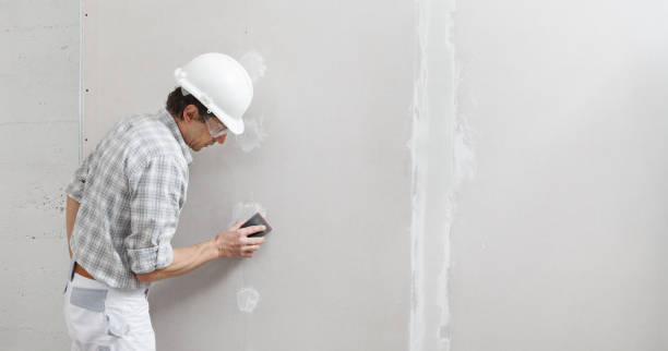Best Mold Removal for HVAC Installations  in Morris, MN