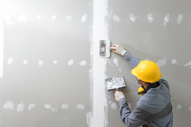 Best Residential Mold Inspection & Testing  in Morris, MN