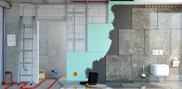 Best Black Mold Removal  in Morris, MN