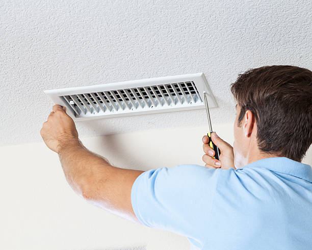 Best Asbestos and Lead Testing During Mold Inspection  in Morris, MN