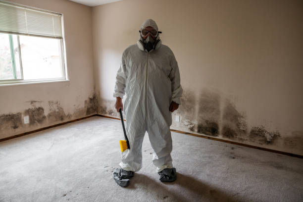 Best Dehumidification Services  in Morris, MN
