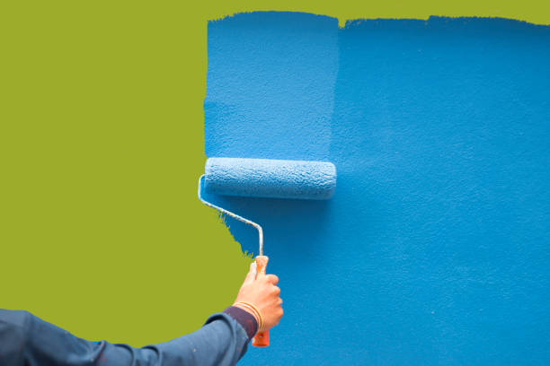 Best Basement Mold Removal  in Morris, MN