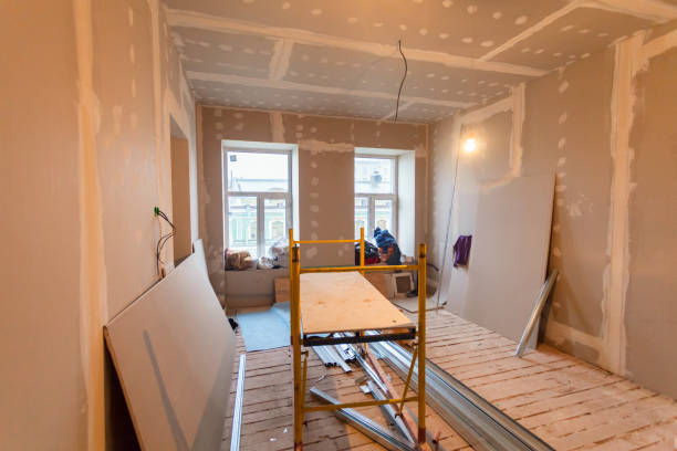 Trusted Morris, MN Mold Removal Experts