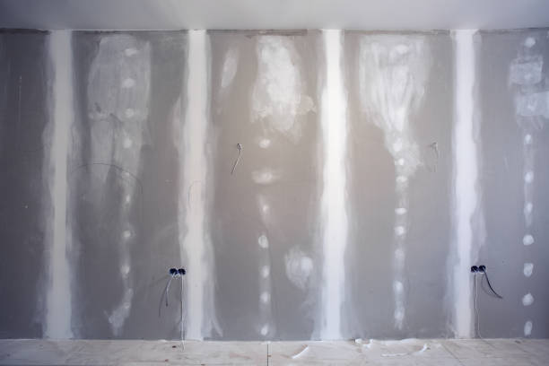  Morris, MN Mold Removal Pros
